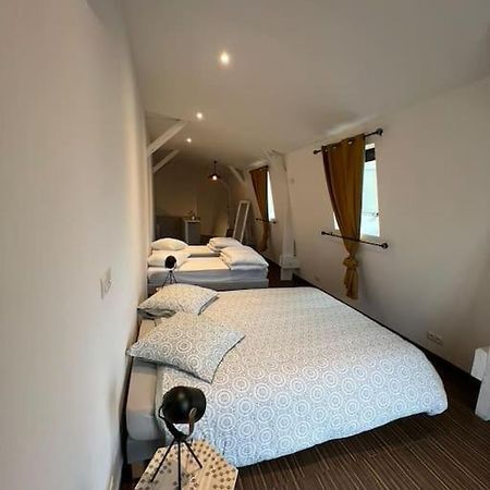 Appartamento Grand Duplex De 80M2 Alençon Esterno foto