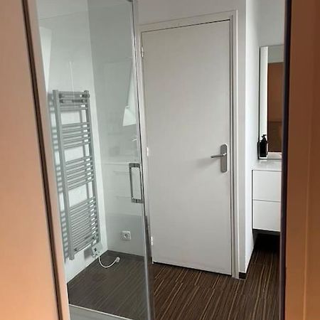 Appartamento Grand Duplex De 80M2 Alençon Esterno foto